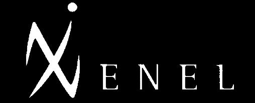 xenel logo clean black bg