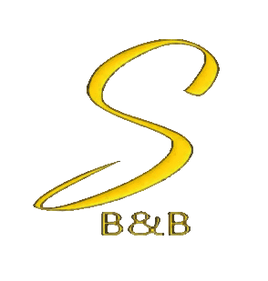 bnb logo text only transparent
